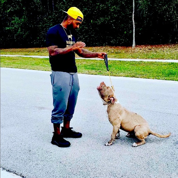 Meet your Posher, Takari - Picture 1 of 1